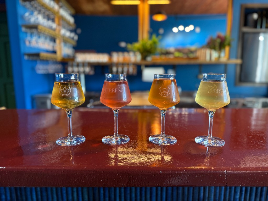 four glasses of wine and cider on a bar top