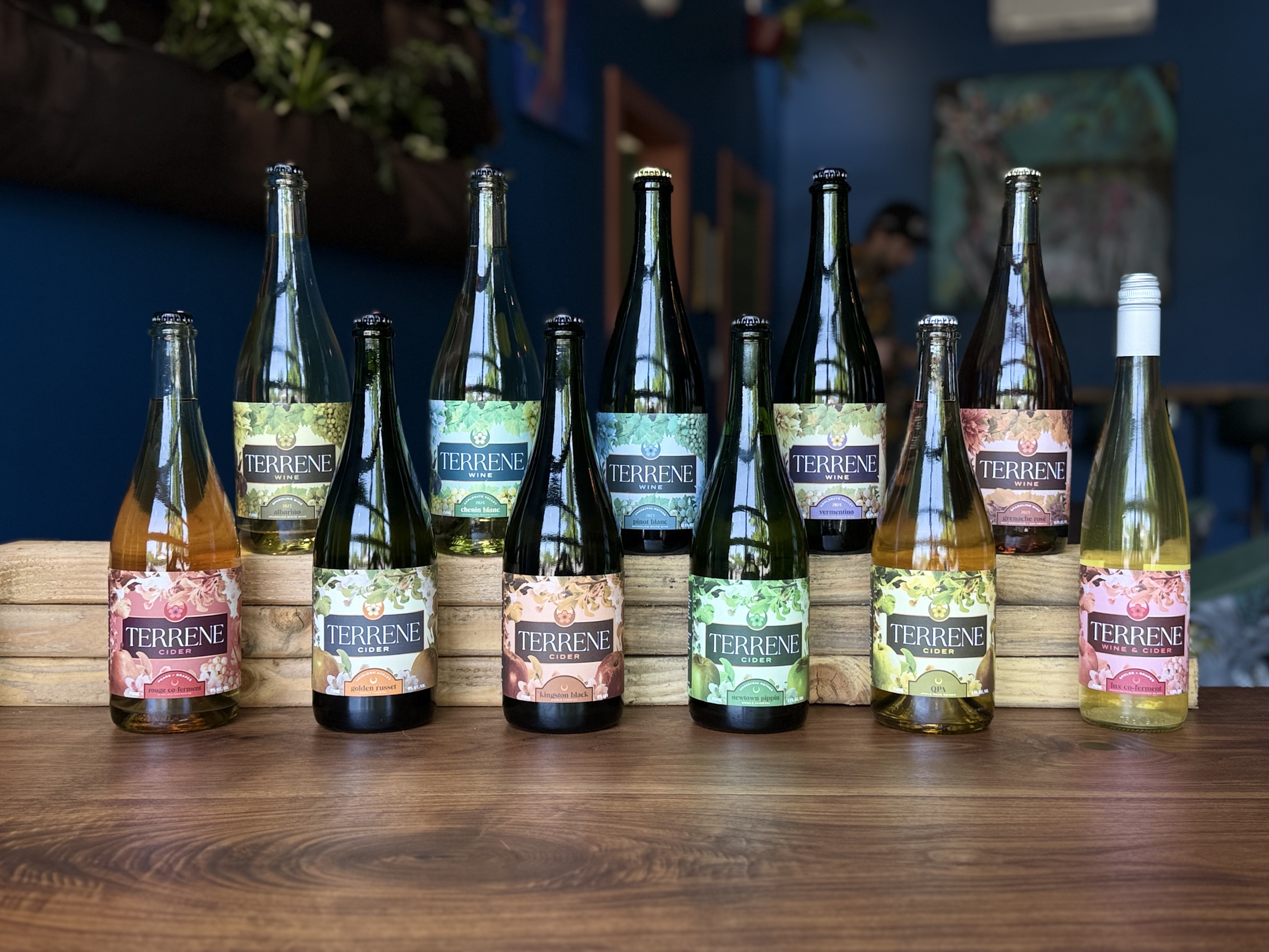 line up of bottles